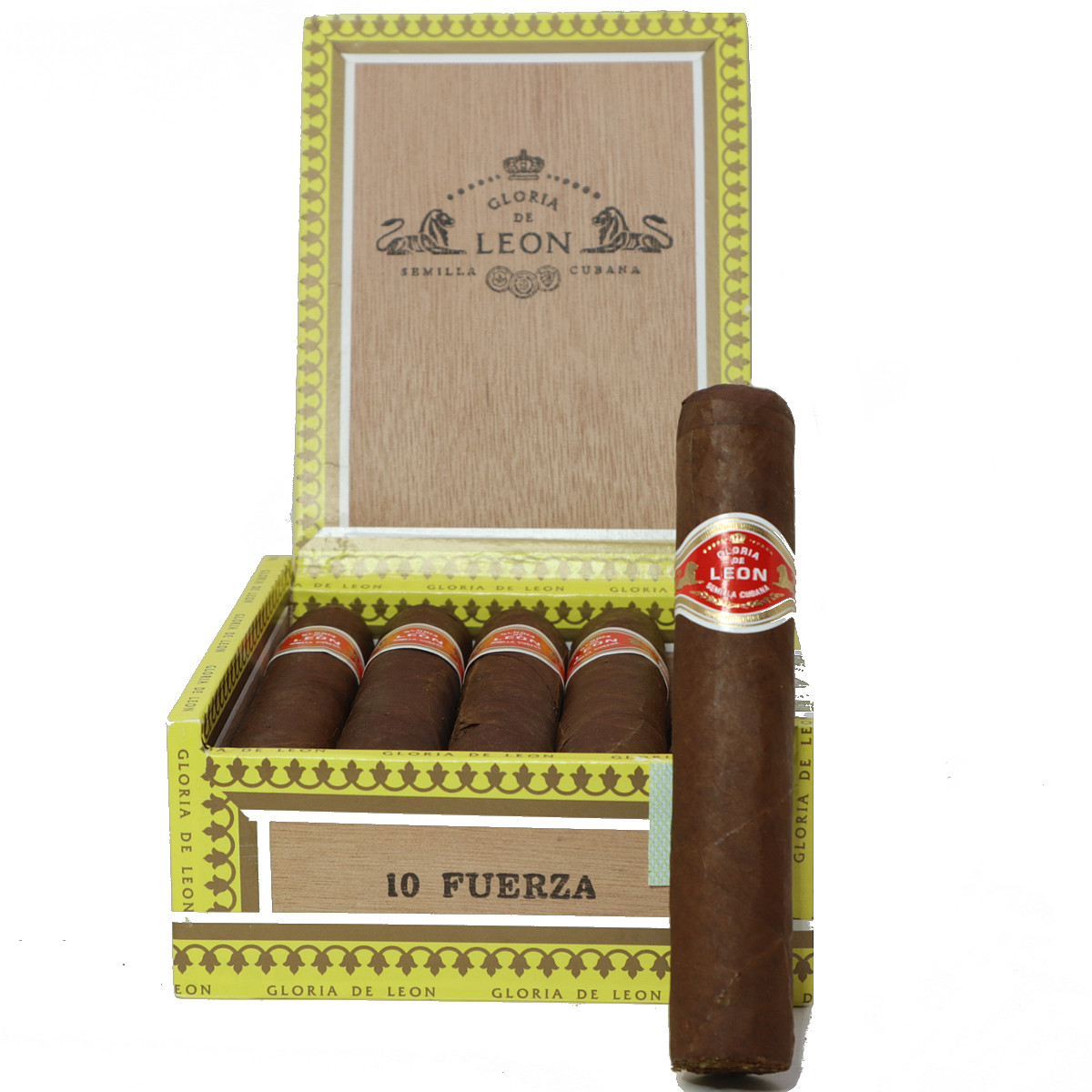 Curivari Curivari Gloria De Leon Fuerza Unit (10)
