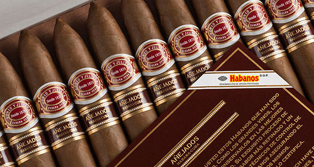 Romeo y Julieta Romeo y Julieta By Romeo Piramides Unit (20) Piramide