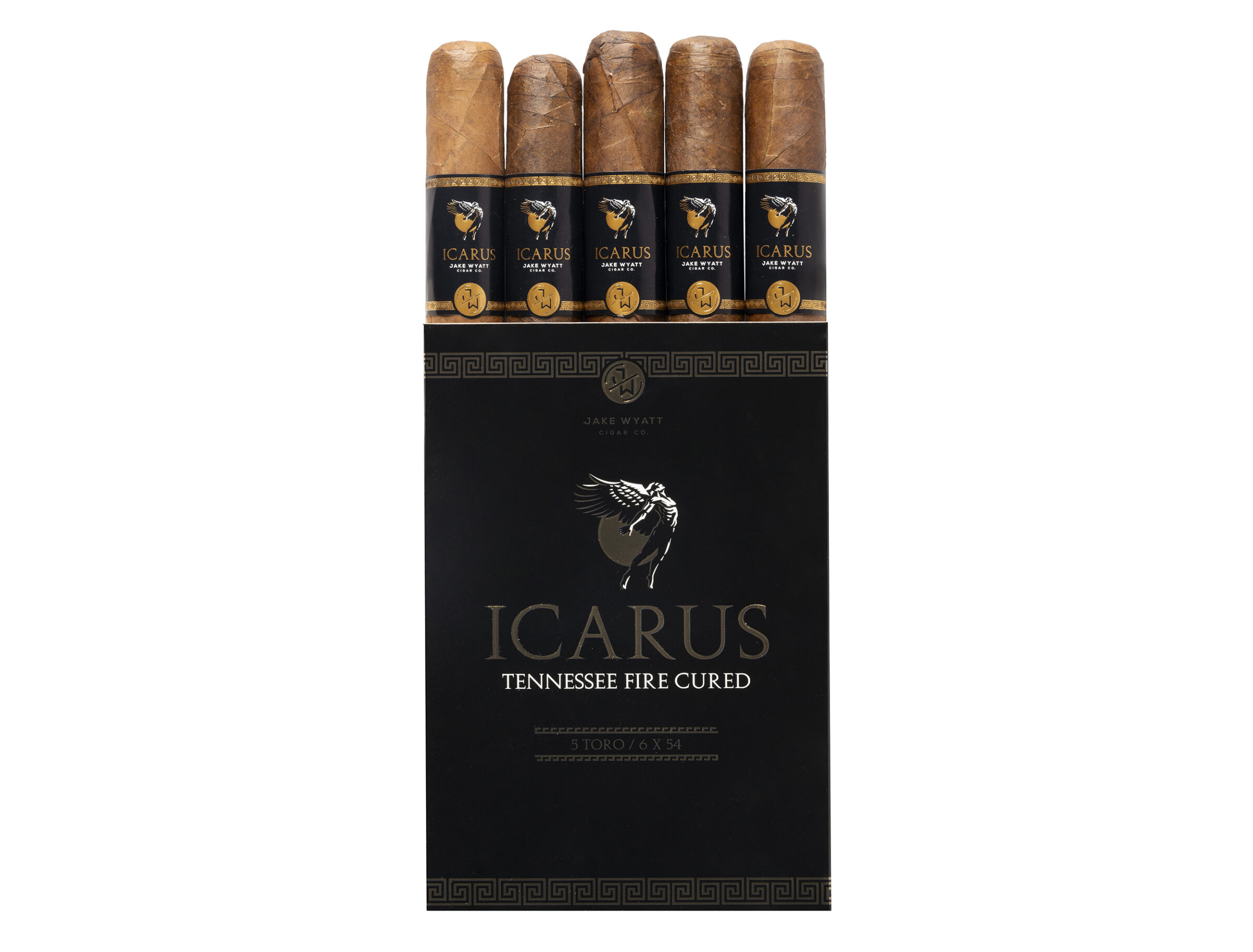 Jake Jake Wyatt Icarus Robusto Unit (22) Robusto