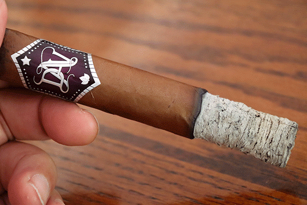 DAV DAV 1918 Robusto Unit (10) Robusto