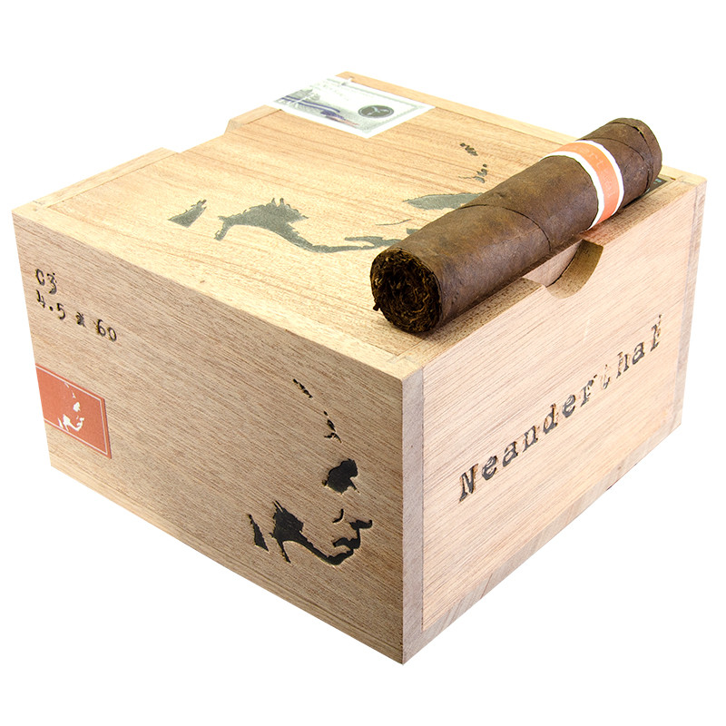 Romacraft Neanderthal Romacraft Neanderthal C3 Unit (15)