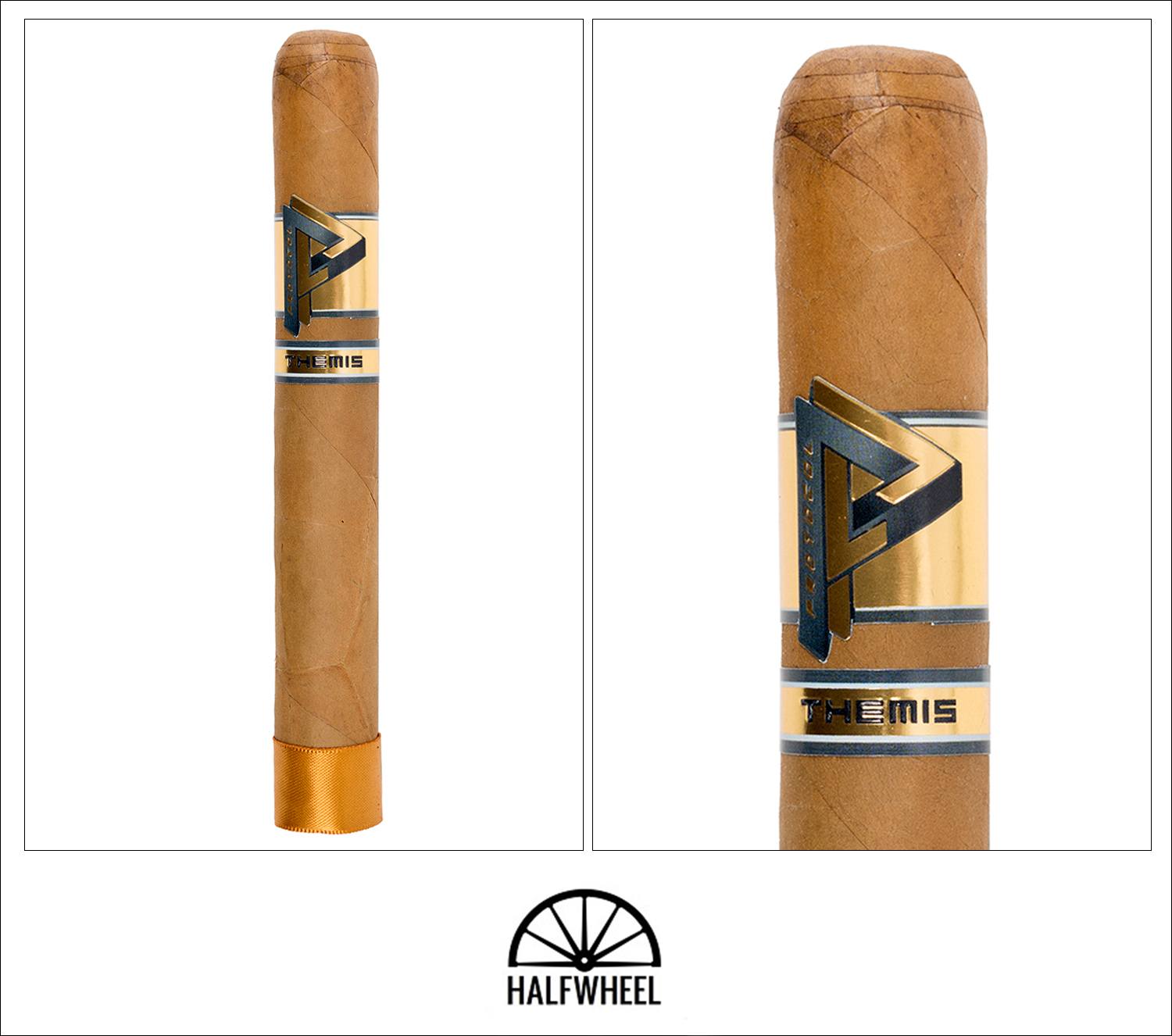 Protocol Protocol Gold Themis Robusto Unit (10)