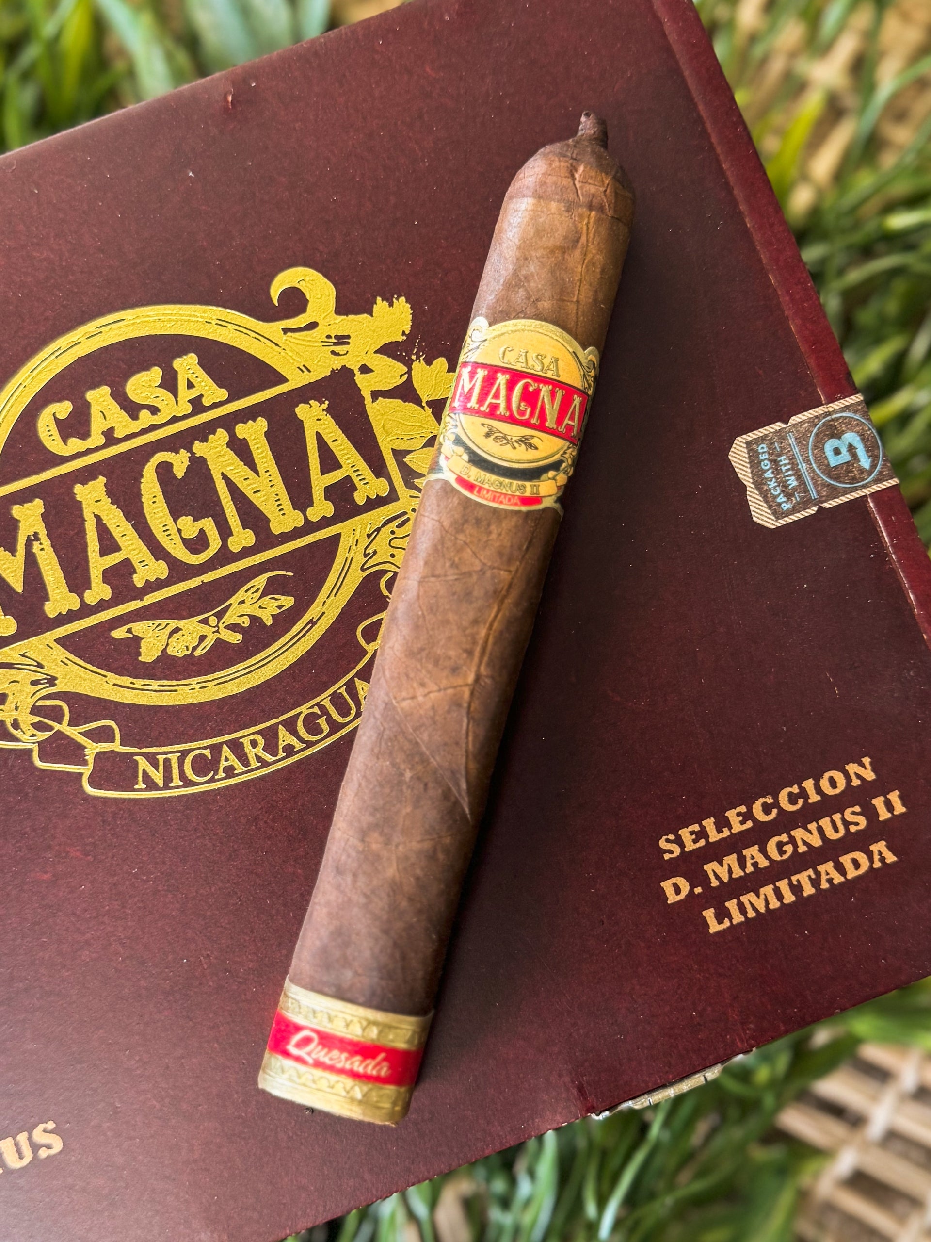Casa Magna Casa Magna D. Magnus II Optimus Unit (10)