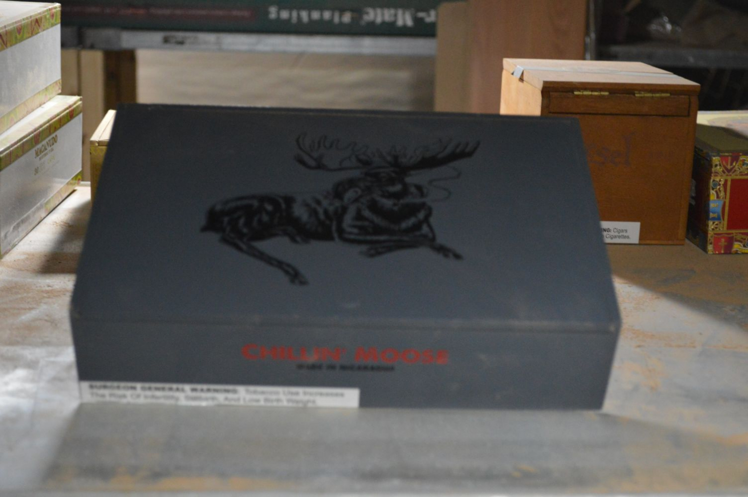 Foundry Foundry Chillin' Moose Original Gigante Unit (20) Gigante