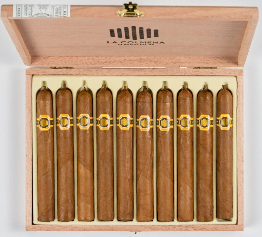 Warped La Warped La Colmena Amado #44 Unit (10)