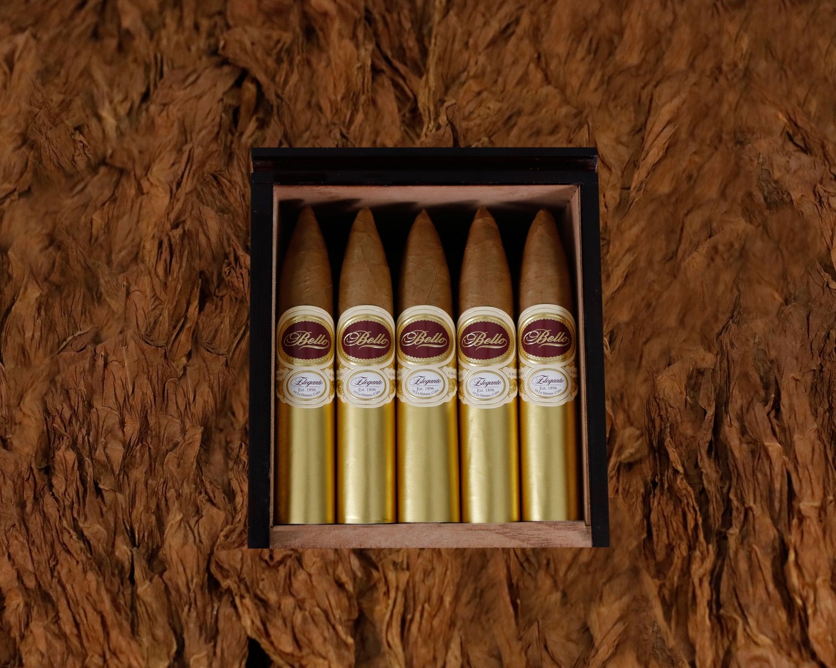 Ferrera Ferrera New Dynasty Belicoso Unit (18)