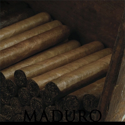 House House Handmade Maduro Torpedo Box Unit (100) Torpedo