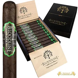 Esteban Carreras Esteban Carreras Bloodline Maduro Progeny Unit (20)