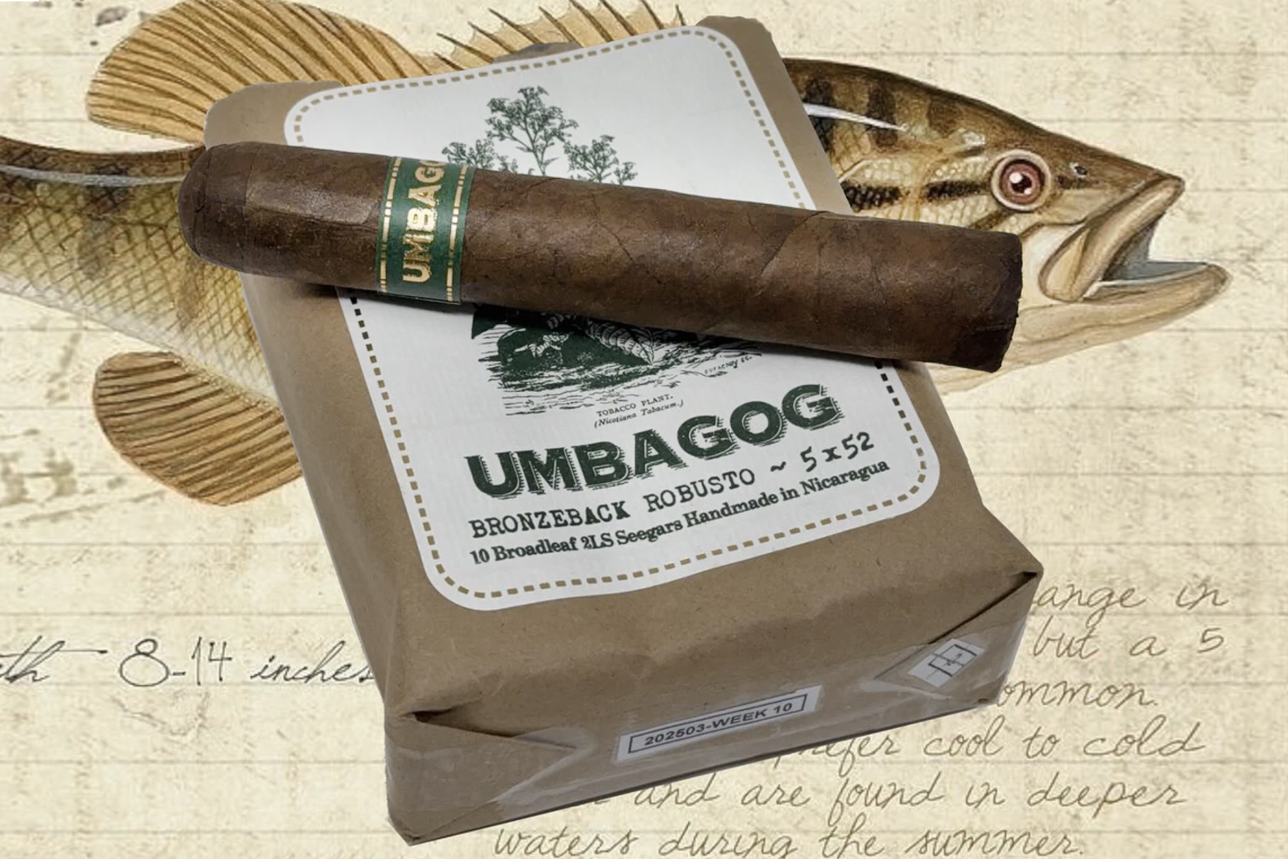 Dunbarton Umbagog Dunbarton Umbagog Bronzeback Robusto Unit (10) Robusto