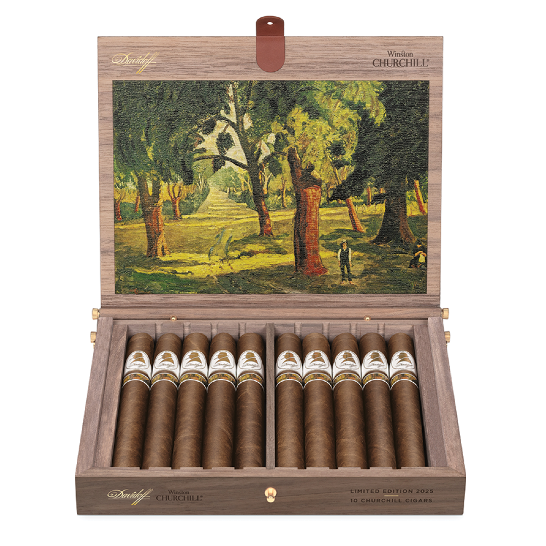 DAV DAV Habana Clasico Churchill Box Unit (10) Churchill
