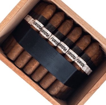 Viaje Viaje Furiosa Fury Robusto Unit (51)
